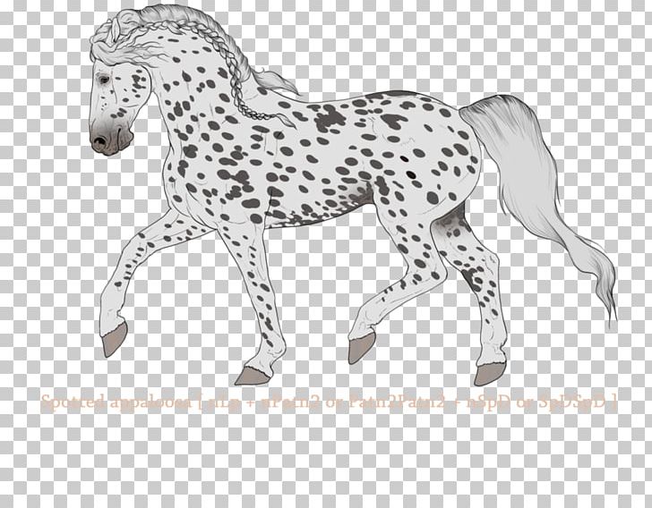 Mane Mustang Stallion Foal Colt PNG, Clipart,  Free PNG Download