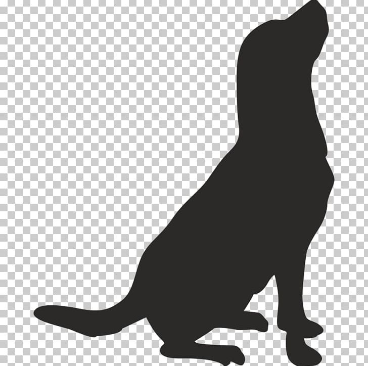 Whiskers American Pit Bull Terrier Drawing PNG, Clipart, American Pit Bull Terrier, Animals, Black, Black And White, Black Cat Free PNG Download