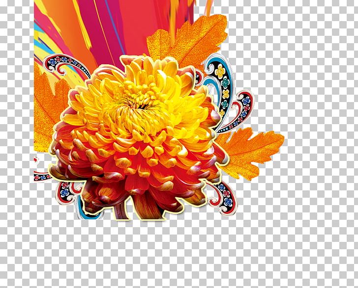 Double Ninth Festival PNG, Clipart, Autumn, Chrysanthemum Chrysanthemum, Chrysanthemums, Daisy Family, Floral Design Free PNG Download