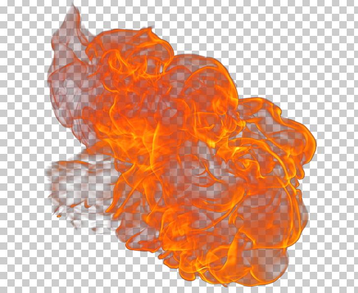 Flame Fire Combustion PNG, Clipart, Ara, Cartoon, Combustion, Computer Icons, Fiamma Free PNG Download