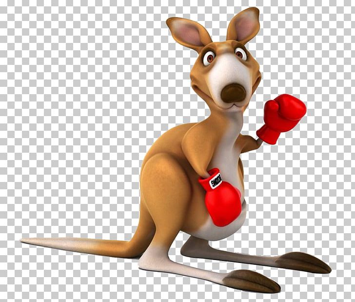 Red Kangaroo Tree-kangaroo Boxing Kangaroo PNG, Clipart, Box, Boxes, Boxing, Boxing Gloves, Boxing Kangaroo Free PNG Download