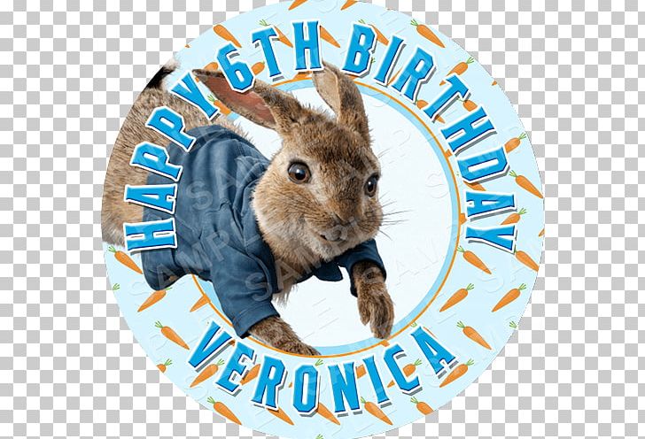 Domestic Rabbit Hare Cupcake PNG, Clipart, Animals, Baptism, Cake, Character, Cupcake Free PNG Download