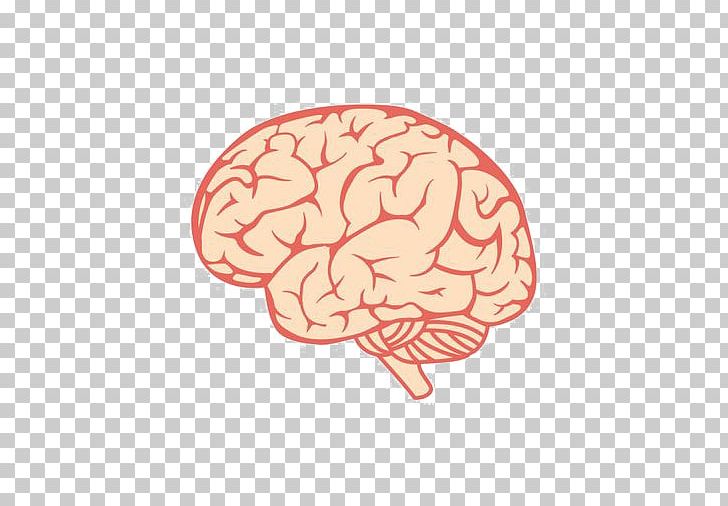 Human Brain PNG, Clipart, Brain, Brain, Brain Decoration, Creative Ads, Creative Artwork Free PNG Download