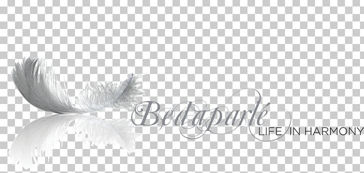Logo Feather Calligraphy White Font PNG, Clipart,  Free PNG Download