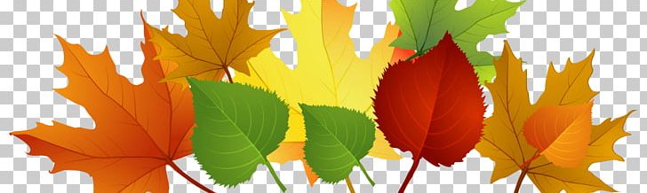 Autumn Leaf Color Borders And Frames PNG, Clipart, Autumn, Autumn Leaf Color, Blog, Borders And Frames, Computer Wallpaper Free PNG Download