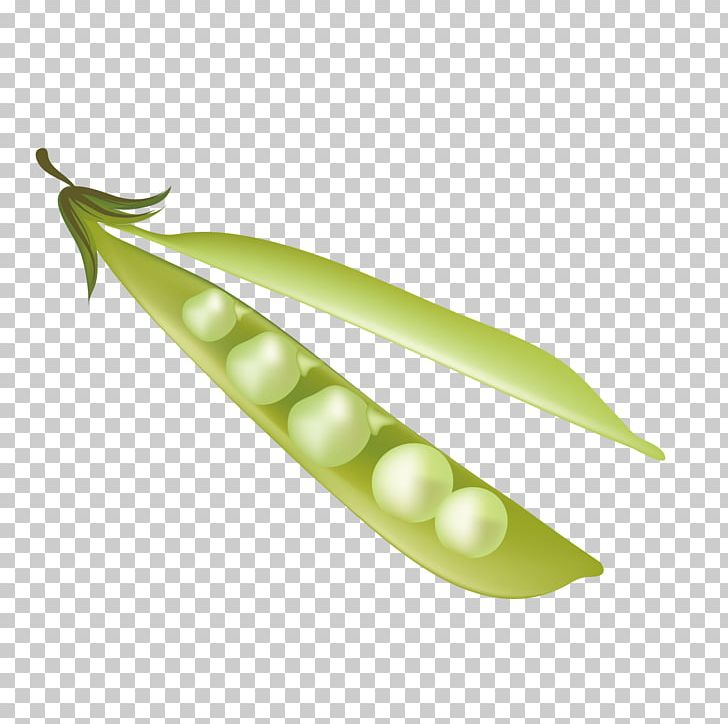 Pea PNG, Clipart, Bean, Beans, Butterfly Pea, Decoration, Deer Horn Free PNG Download