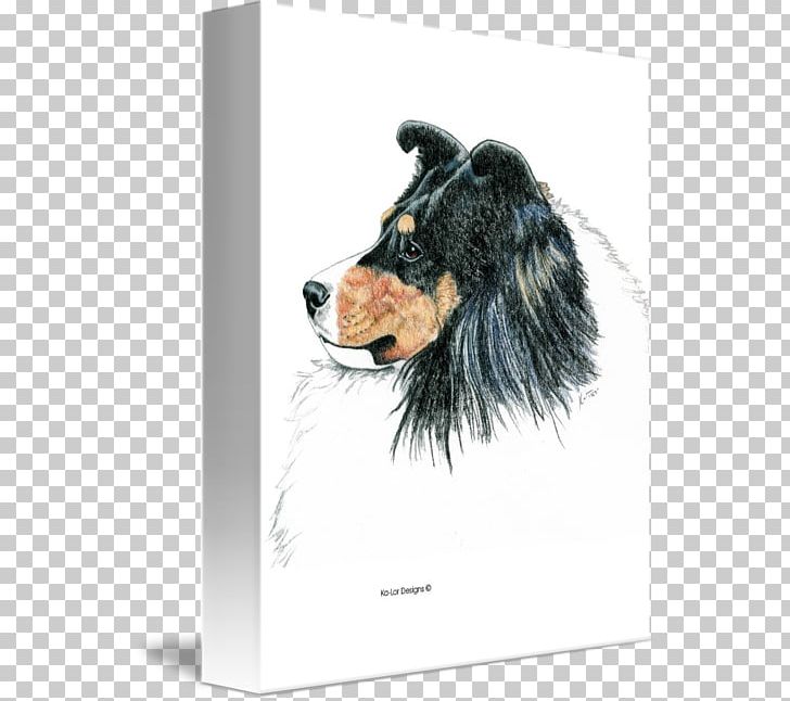 Shetland Sheepdog Old English Sheepdog Companion Dog Dog Breed PNG, Clipart, Art, Breed, Canvas, Carnivoran, Companion Dog Free PNG Download