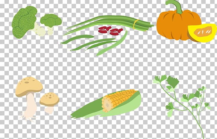 Vegetarian Cuisine Vegetable Illustration PNG, Clipart, Art, Cuisine, Food, Fruit, Happy Birthday Vector Images Free PNG Download