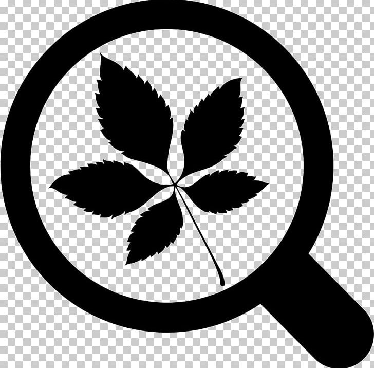 Leaf Graphics Plants PNG, Clipart, Autumn Leaf Color, Black And White, Computer Icons, Download, Encapsulated Postscript Free PNG Download