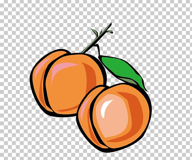 Peach Euclidean Apricot PNG, Clipart, Apricot Blossom Vector, Apricot Blossom Yellow, Apricot Flower, Apricots, Artwork Free PNG Download