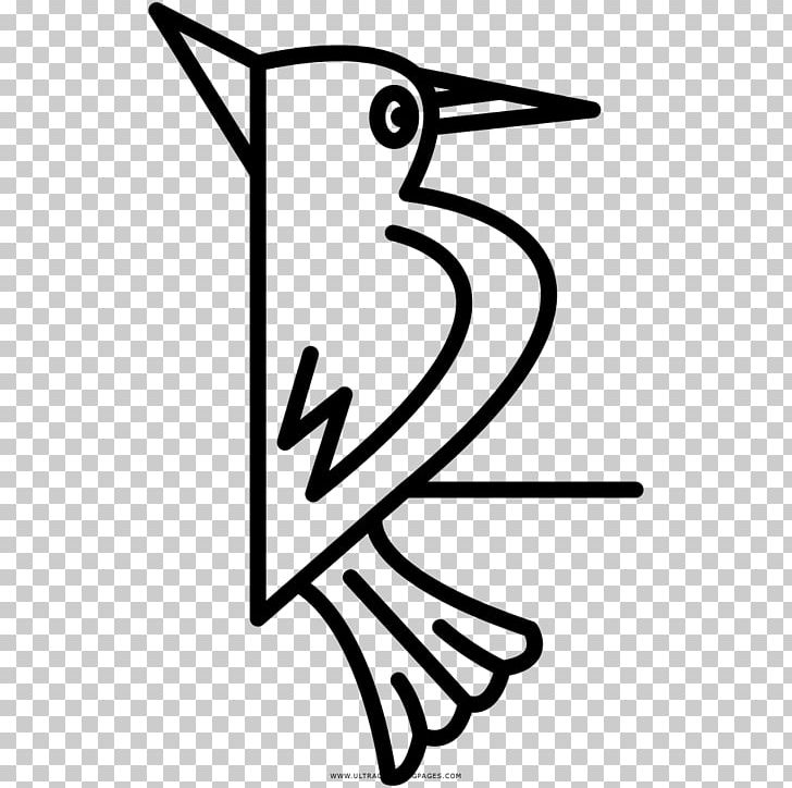 Woodpecker Bird Drawing Coloring Book Beak PNG, Clipart, Angle, Animais, Animals, Area, Art Free PNG Download