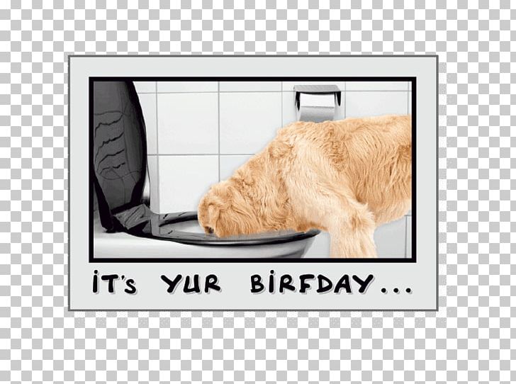 Dog Greeting & Note Cards Birthday Drink PNG, Clipart, Birthday, Birthday Dog, Collar, Cuteness, Dog Free PNG Download