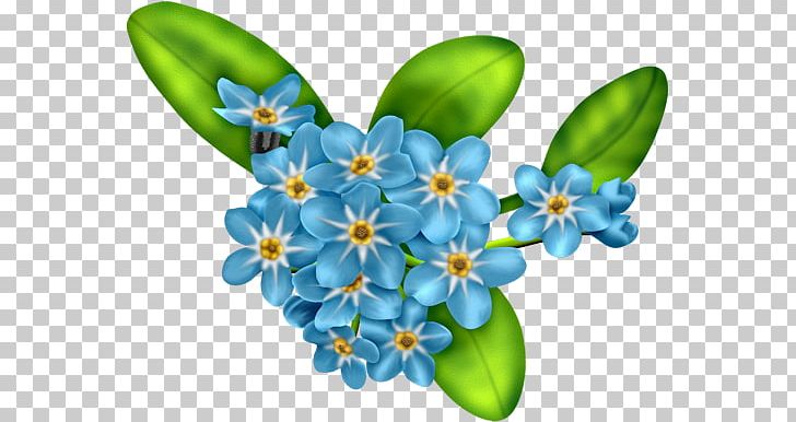 Flower Illustrator PNG, Clipart, Blue, Borage Family, Botanical Illustration, Clip Art, Flower Free PNG Download