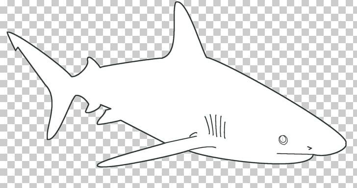 Great White Shark Template Shark Finning Blue Shark PNG, Clipart, Animal, Blacktip Shark, Blue Shark, Cartilaginous Fish, Coloring Book Free PNG Download