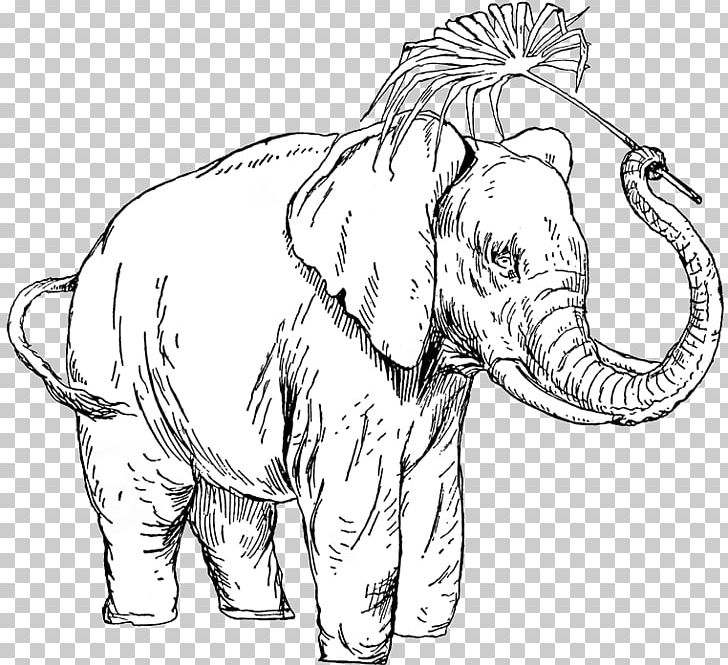 Indian Elephant African Elephant Line Art Drawing PNG, Clipart, African Elephant, Animal, Animal Figure, Art, Artwork Free PNG Download