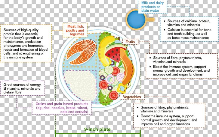 Organism Diagram Line PNG, Clipart, Area, Art, Balanced Diet, Diagram, Line Free PNG Download