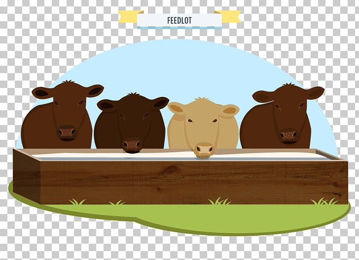 Cattle Cartoon PNG, Clipart, Bear, Carnivoran, Cartoon, Cattle, Cattle Like Mammal Free PNG Download