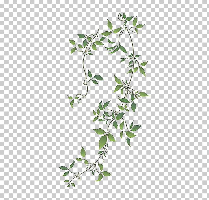 Vine Stencil Anemone Clematis Tree PNG, Clipart, Branch, Flora, Flower, Flowering Plant, Flowerpot Free PNG Download