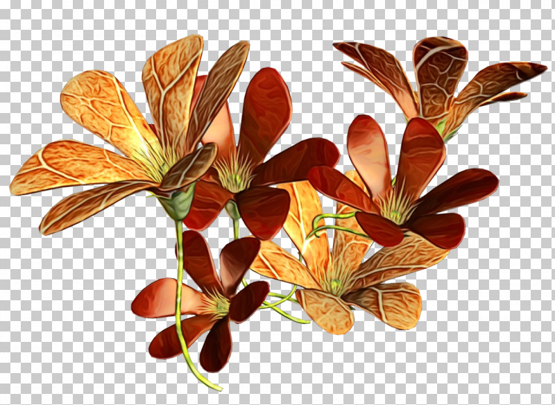 Leaf Flower Plant Branch Twig PNG, Clipart, Branch, Flower, Leaf, Paint, Plant Free PNG Download