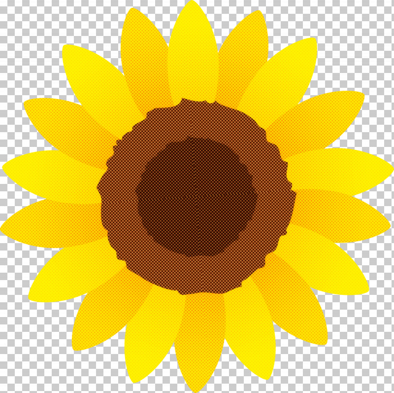 Sunflower PNG, Clipart, Asterales, Cartoon, Daisy Family, Flower, Petal Free PNG Download