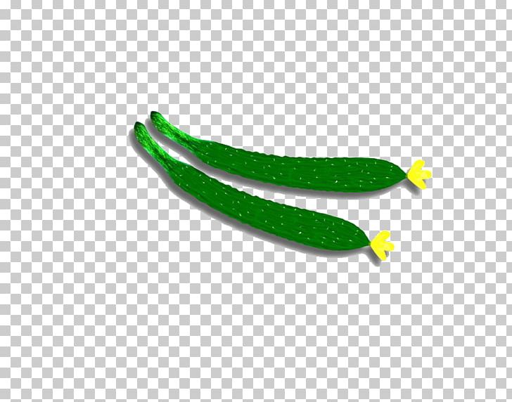 Cucumber Vegetable Cartoon PNG, Clipart, Cartoon, Cucumber, Cucumber Cartoon, Cucumber Juice, Cucumbers Free PNG Download