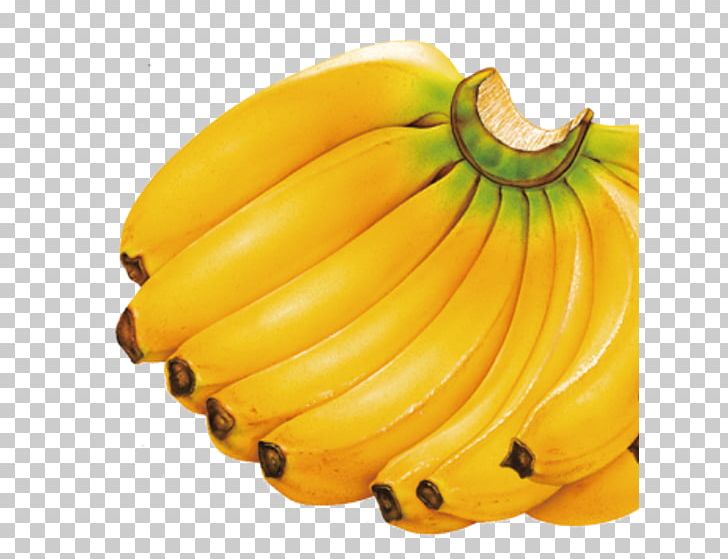 Diet Banana Fruit Auglis PNG, Clipart, Anorexia, Apple, Auglis, Banan, Banana Free PNG Download