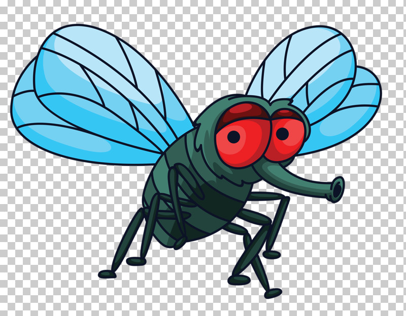 Insect Cartoon Fly House Fly Wing PNG, Clipart, Animation, Blowflies, Cartoon, Damselfly, Fly Free PNG Download