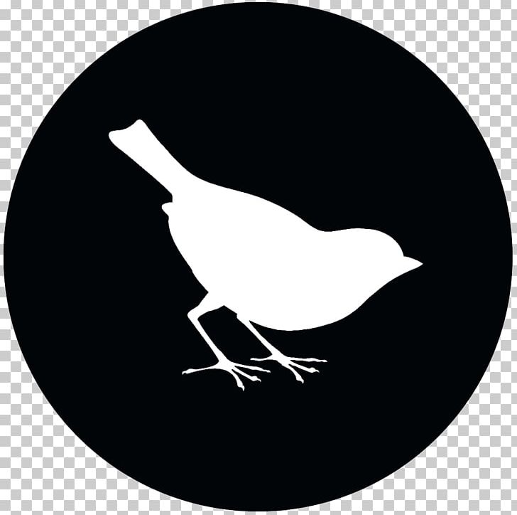 Computer Icons YouTube Computer Software PNG, Clipart, Beak, Bird, Black And White, Branch, Chicken Free PNG Download