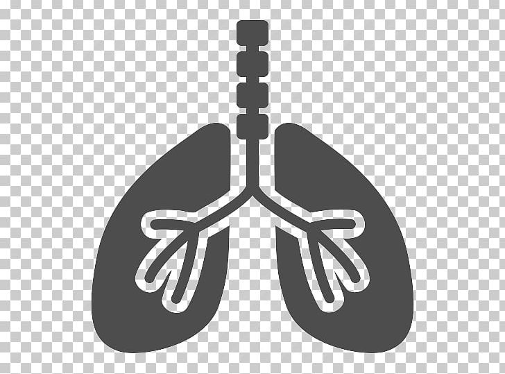 Graphics Lung Respiratory System Illustration Respiration PNG, Clipart,  Free PNG Download