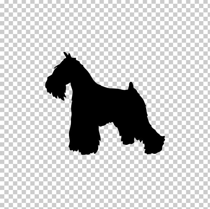 Miniature Schnauzer Scottish Terrier English Mastiff PNG, Clipart, Animals, Black, Black And White, Carnivoran, Clip Art Free PNG Download