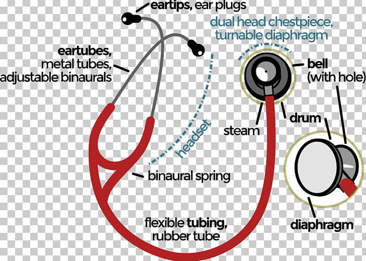 Stethoscope Physician Auscultation Cardiology Medicine PNG, Clipart, Angle, Area, Auscultation, Binaural Recording, Blood Pressure Free PNG Download