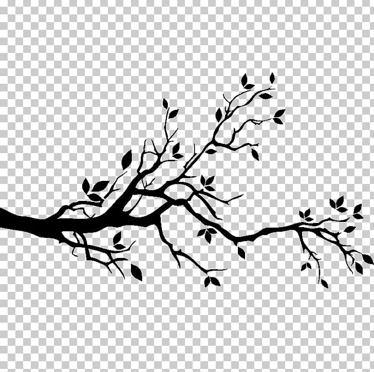 Wall Decal Branch Tree Drawing PNG, Clipart, Beak, Bird, Black, Black And White, Branch Free PNG Download