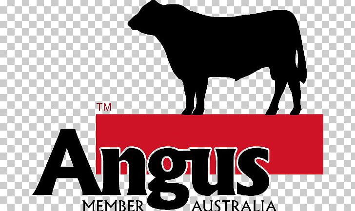 Angus Cattle Logo Ox Farm Angus Australia PNG, Clipart, Angus, Angus Cattle, Australia, Black And White, Brand Free PNG Download
