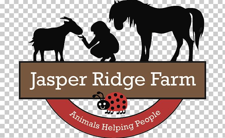 Jasper Ridge Farm Animal Farm Snowball Horse PNG, Clipart, Animal, Animalassisted Therapy, Animal Farm, Brand, Farm Free PNG Download