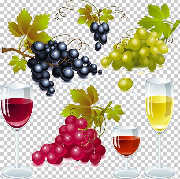 White Wine Red Wine Sauvignon Blanc Concord Grape PNG, Clipart, Food, Fruit, Fruit Nut, Glass, Grape Free PNG Download
