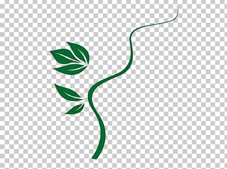 Leaf Petal Plant Stem Flower PNG, Clipart, Artwork, Branch, Flora, Flower, Flowering Plant Free PNG Download