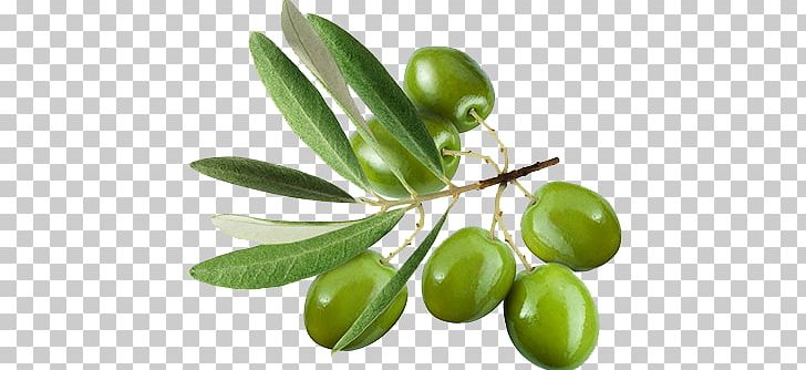 Olive Leaf Olive Oil Stock Photography Extract PNG, Clipart, Background Green, Cooking, Creative, Creative Olive Oil, Depositphotos Free PNG Download