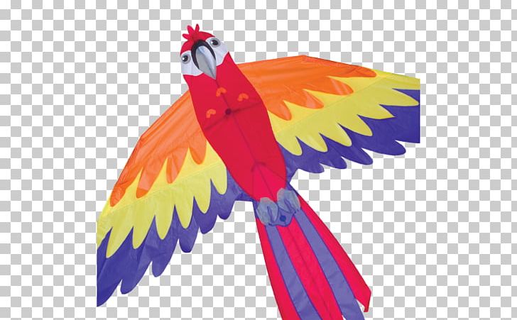 Macaw Parrot Bird Kite Beak PNG, Clipart, Animals, Beak, Bird, Feather, Galliformes Free PNG Download