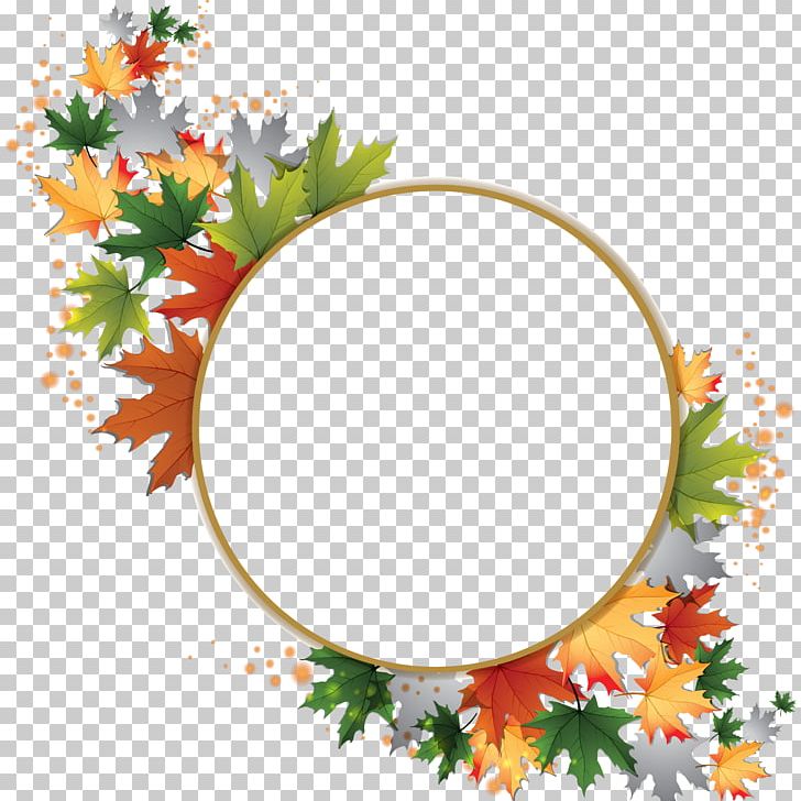 Maple Leaf PNG, Clipart, Branch, Christmas Decoration, Christmas Ornament, Circle, Clip Art Free PNG Download
