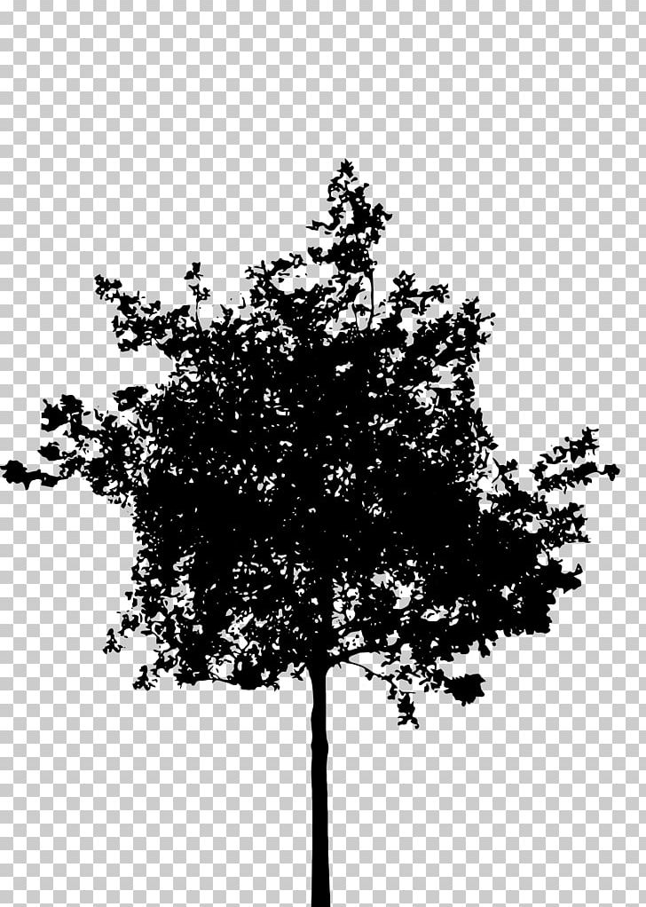 Silhouette Tree PNG, Clipart, Animals, Black And White, Branch, Computer Icons, Desktop Wallpaper Free PNG Download