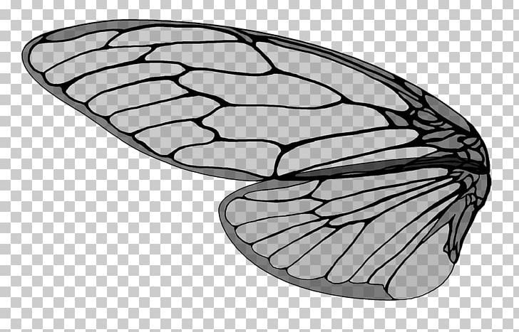 Ant Insect Wing Cicadidae PNG, Clipart, Animals, Ant, Auchenorrhyncha, Black And White, Butterfly Free PNG Download