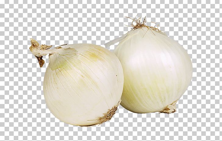 French Onion Soup White Onion Red Onion Yellow Onion PNG, Clipart, Caramelization, Cooking, Daikon, Dicing, Food Free PNG Download