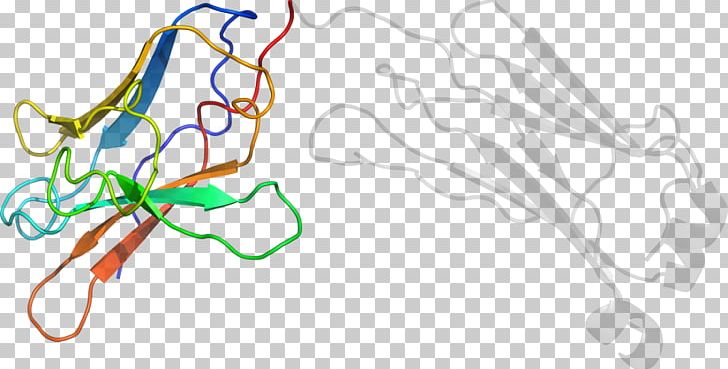 Line Point Organism PNG, Clipart, Area, Art, Heterologous, Line, Line Art Free PNG Download