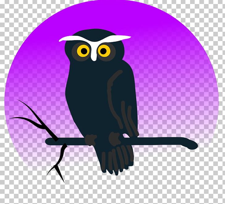Owl Animation PNG, Clipart, Animals, Animation, Barn Owl, Barred Owl, Beak Free PNG Download