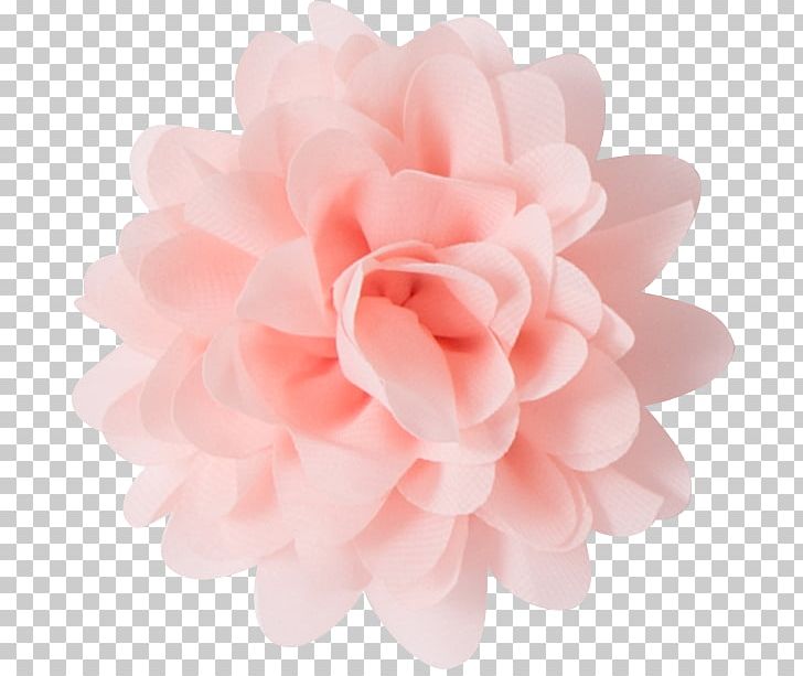 Waaaw Kids Pink Rosé Color Voile PNG, Clipart, Clothing, Clothing Accessories, Color, Dahlia, Flower Free PNG Download