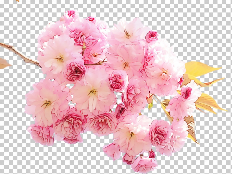 Cherry Blossom PNG, Clipart, Artificial Flower, Blossom, Bouquet, Branch, Cherry Blossom Free PNG Download