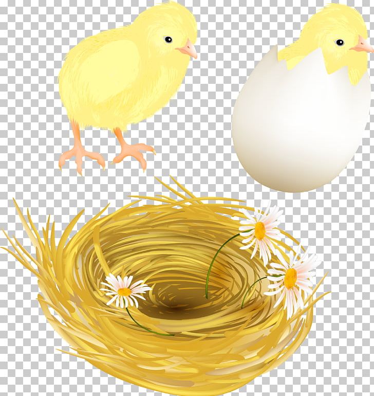 Easter Bunny Easter Egg PNG, Clipart, Basket, Beak, Bird, Chicken, Duck Free PNG Download