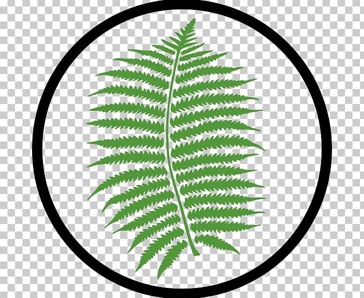 Fern Leaf PNG, Clipart, Appropriate Cliparts, Burknar, Download, Drawing, Fern Free PNG Download