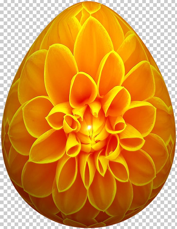 Flower Thermoplastic Polyurethane Silicone PNG, Clipart, Dahlia, Easter, Easter Egg, Egg, Flower Free PNG Download
