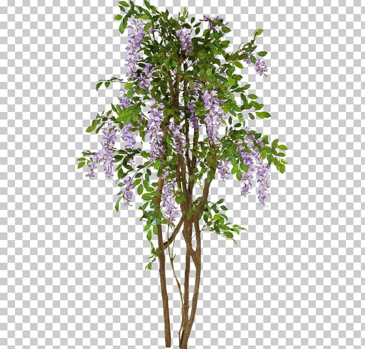 Twig Shrub Tree PNG, Clipart, Adobe Photoshop Elements, Arborvitae, Areca Palm, Branch, Cut Flowers Free PNG Download